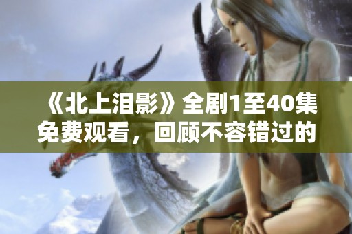 《北上泪影》全剧1至40集免费观看，回顾不容错过的感人故事