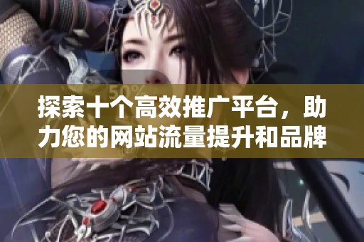 探索十个高效推广平台，助力您的网站流量提升和品牌曝光