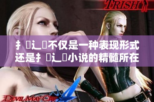 扌喿辶畐不仅是一种表现形式还是扌喿辶畐小说的精髓所在