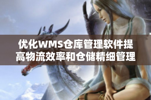 优化WMS仓库管理软件提高物流效率和仓储精细管理